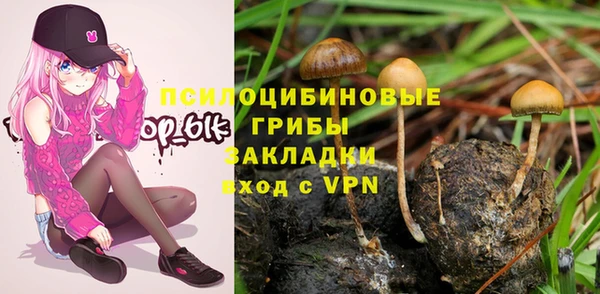 синтетический гашиш Беломорск